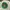 Made in USA Streetwear Sportswear Hat Kids white green photo 2