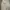 Adidas Streetwear Y2K Casual pants Pria tan cream photo 2