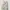 Adidas Streetwear Y2K Casual pants Pria tan cream photo 1