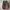 Adidas Indie Casual Sneakers Pria white green photo 5