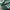 Adidas Indie Casual Sneakers Pria white green photo 2