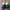 Adidas Indie Casual Sneakers Pria white green photo 4