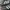 Adidas Indie Casual Sneakers Pria white gray photo 2