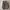 Adidas Indie Casual Sneakers Pria white gray photo 5