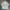 Streetwear Skater Casual shirt Pria white black photo 1