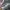 Nike Streetwear Sportswear Sneakers Pria silver gray photo 2