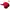 Vintage Sportswear Hat Pria red photo 1