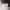 Converse Streetwear Casual Sneakers Pria khaki tan photo 4