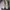 Converse Streetwear Casual Sneakers Pria khaki tan photo 2