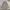 Intermezo Minimalist Casual Casual shirt Pria white photo 1