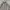 Intermezo Minimalist Casual Casual shirt Pria white photo 3