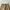 Gramicci Streetwear Sportswear Sweatpants & Joggers Pria tan photo 2
