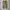 Gramicci Streetwear Sportswear Sweatpants & Joggers Pria tan photo 1