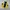 Trussardi Vintage Casual Sweatshirt Pria Black Yellow