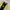 Trussardi Vintage Casual Sweatshirt Pria black yellow photo 3