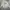 Supreme Sweater Pria white photo 1