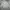 Supreme Sweater Pria white photo 2