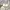 Casual Midi dress Wanita white photo 1