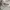 Vintage Streetwear Hat Pria gray photo 3