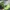 Vintage Streetwear Hat Pria White Green