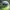 Vintage Streetwear Hat Pria white green photo 3