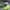 Vintage Streetwear Hat Pria White Green