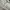 Executive Streetwear Skater Casual shirt Pria cream photo 5