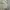 Executive Streetwear Skater Casual shirt Pria cream photo 4
