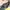 Converse Vintage Casual Hat Pria green photo 6