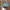 Converse Vintage Casual Hat Pria green photo 4