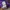 Jeep Streetwear Casual Sweater Kids purple green photo 5