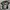 Hard Rock Cafe Vintage Y2K T-shirt Pria green black photo 1