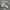 Adidas Casual Sneakers Pria white black photo 1