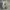 Nike Sportswear Casual Sneakers Pria white gray photo 6