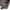 Uniqlo Cosplay Puffer jacket Wanita tan photo 5