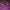 Feltics Indie Swimwear Pria purple photo 2