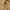 EDWIN Y2K Avant Garde Jeans Pria tan brown photo 4
