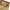 EDWIN Y2K Avant Garde Jeans Pria tan brown photo 5