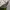 Under Armour Streetwear Hoody Pria gray photo 3