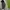 Under Armour Streetwear Hoody Pria gray photo 2