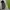 Under Armour Streetwear Hoody Pria Gray