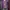 Y2K T-shirt Wanita purple photo 1