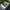 Converse Skater Casual Boots Pria white photo 3