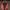 Casual Puffer jacket Pria red brown photo 2