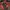Casual Puffer jacket Pria red brown photo 1