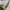 have a good time Streetwear Sportswear Hoody Pria gray photo 3
