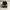 Converse Sportswear Sneakers Pria white black photo 6