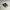 Converse Sportswear Sneakers Pria white black photo 2