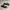 Converse Sportswear Sneakers Pria White Black