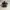 Converse Sportswear Sneakers Pria white black photo 7
